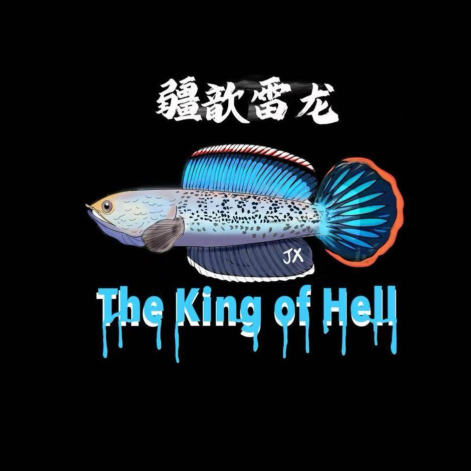 疆歆雷龙