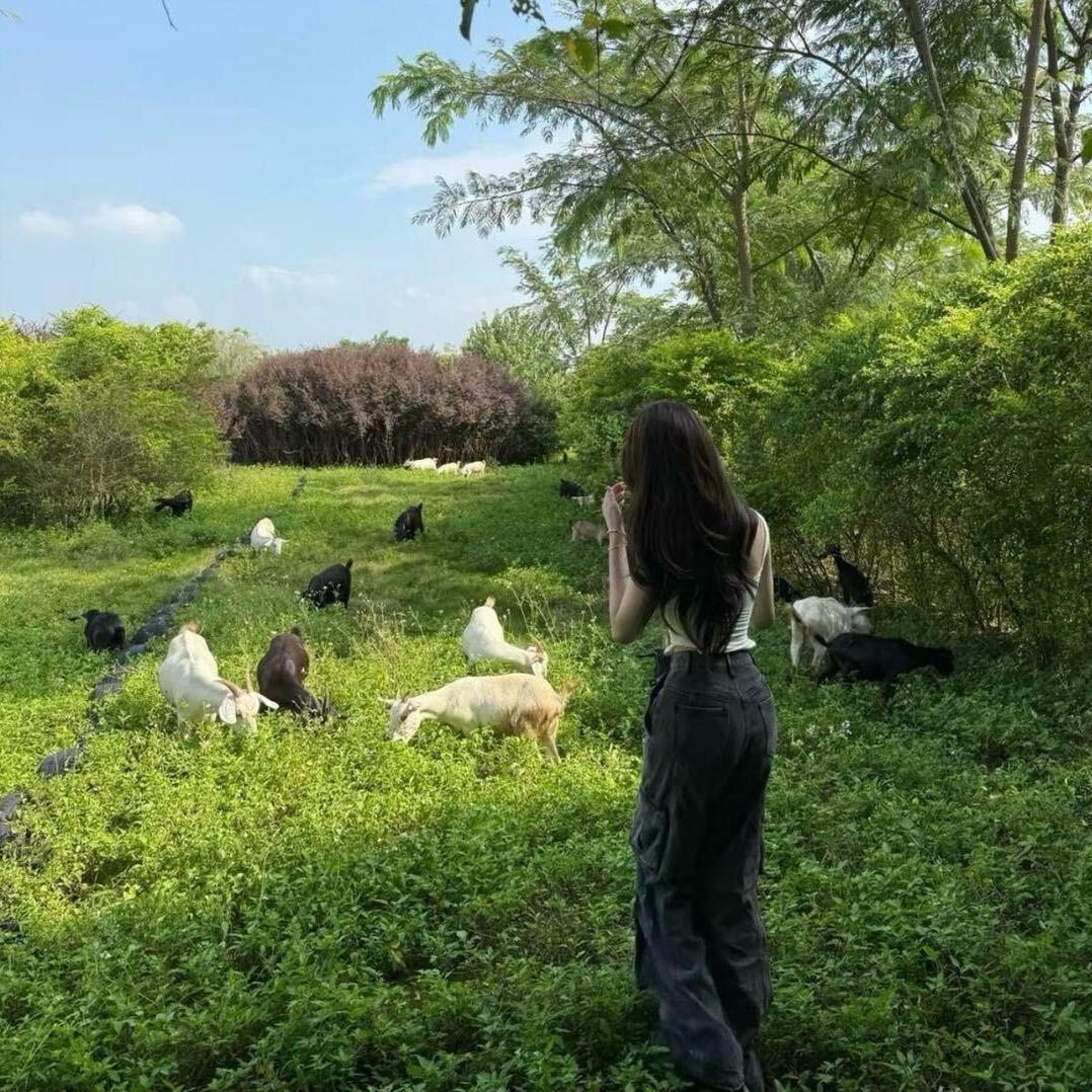 阳阳💜