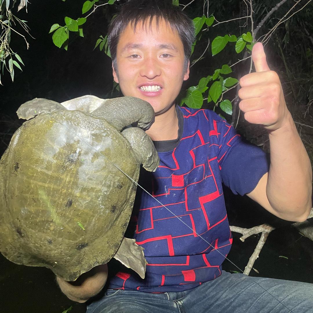 甲鱼大王二娃(每晚八点半户外）