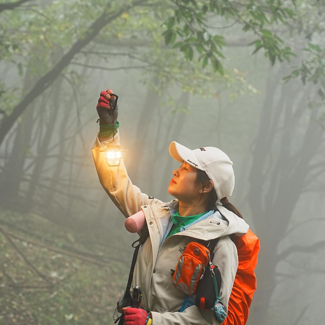🌹❤️守望幸福❤️🌹她芳姐