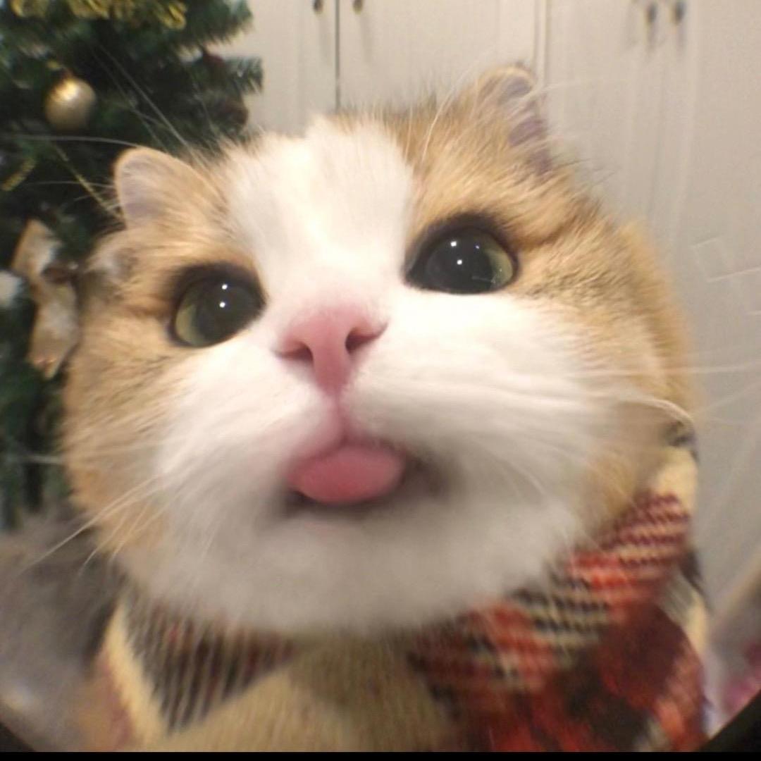 我是猪哥