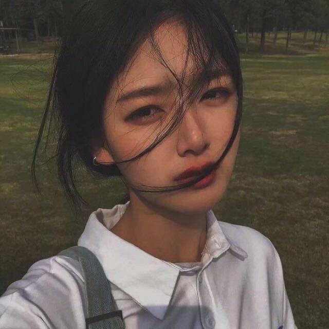 丁小当的猫