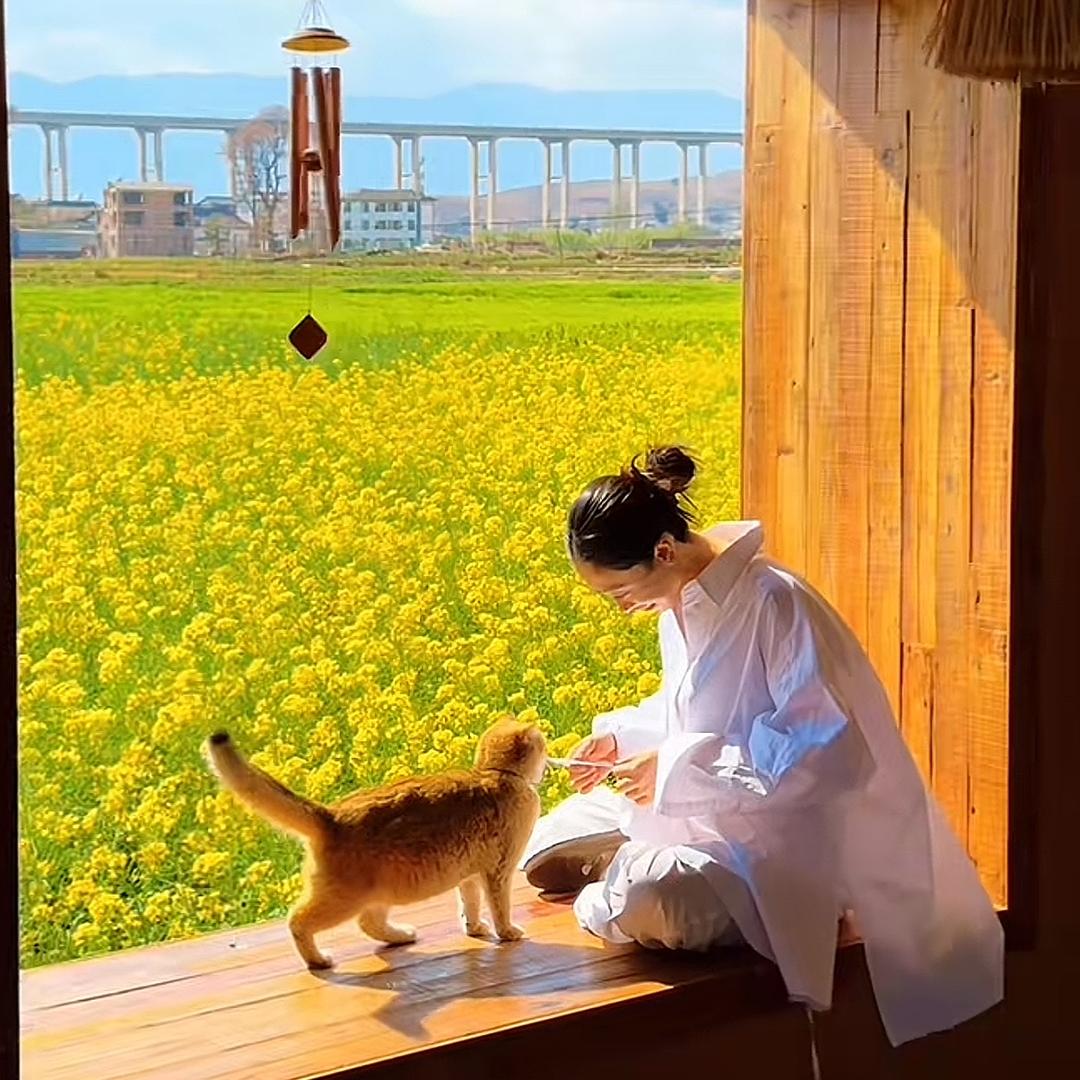 鱼鱼·