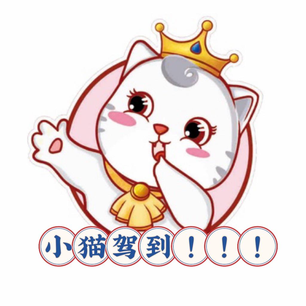小猫驾到零食