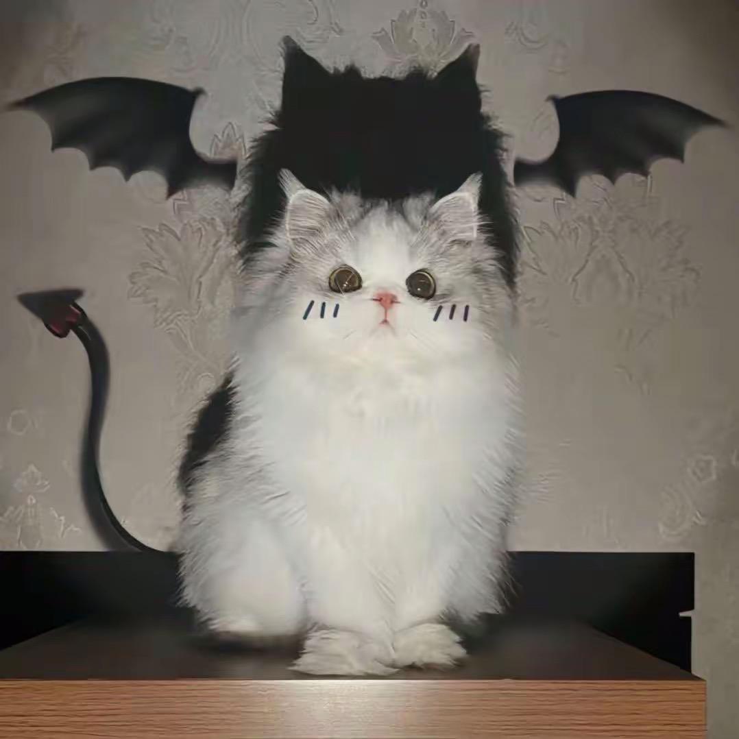 金莎.