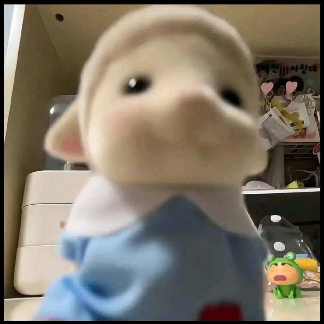 我要睡觉觉啦💤