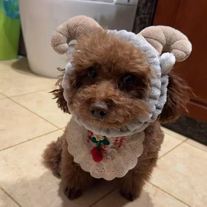 嘟嘟喔