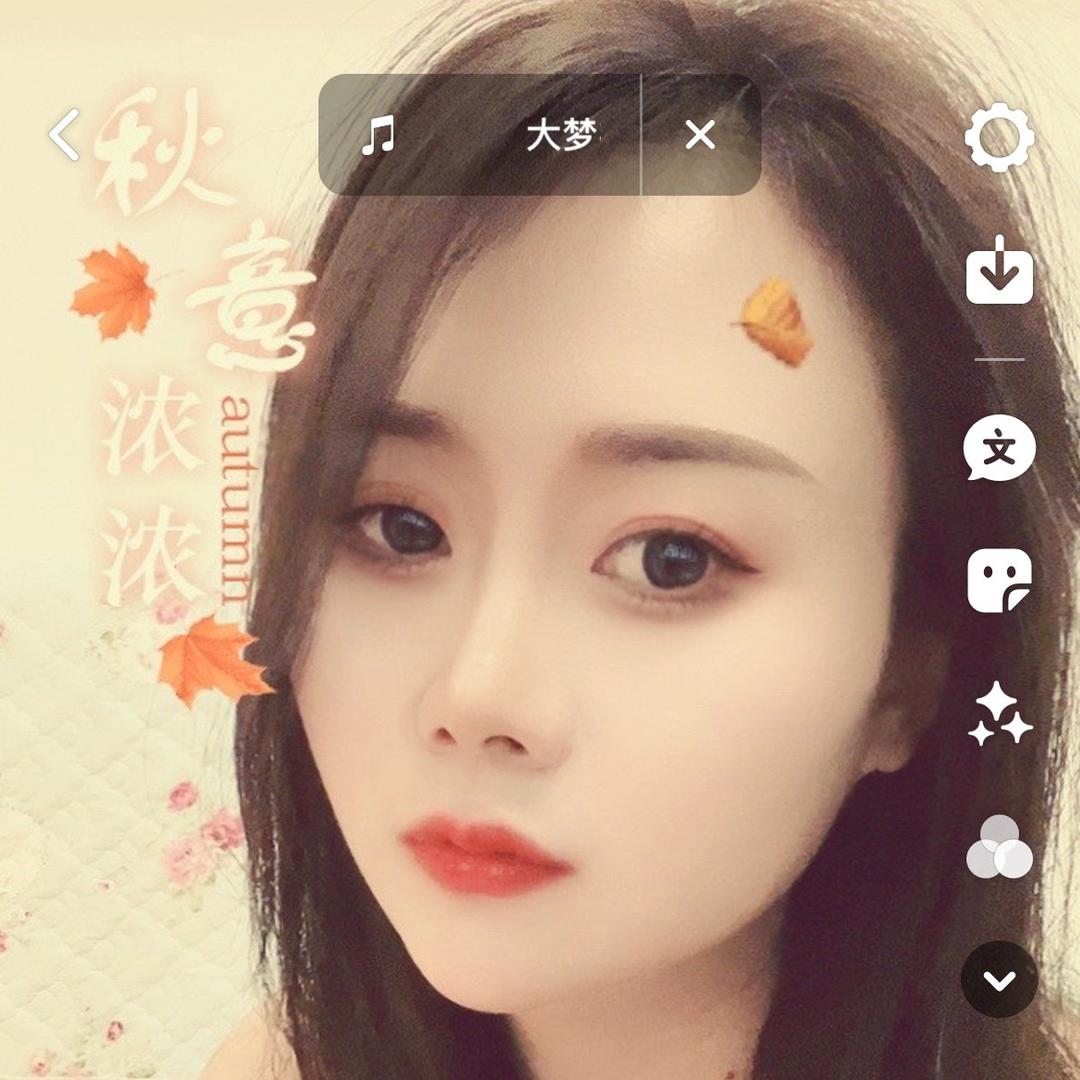 露宝贝