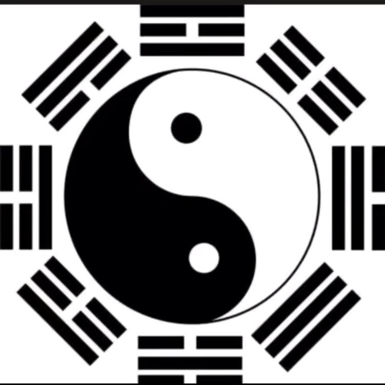 zjj133