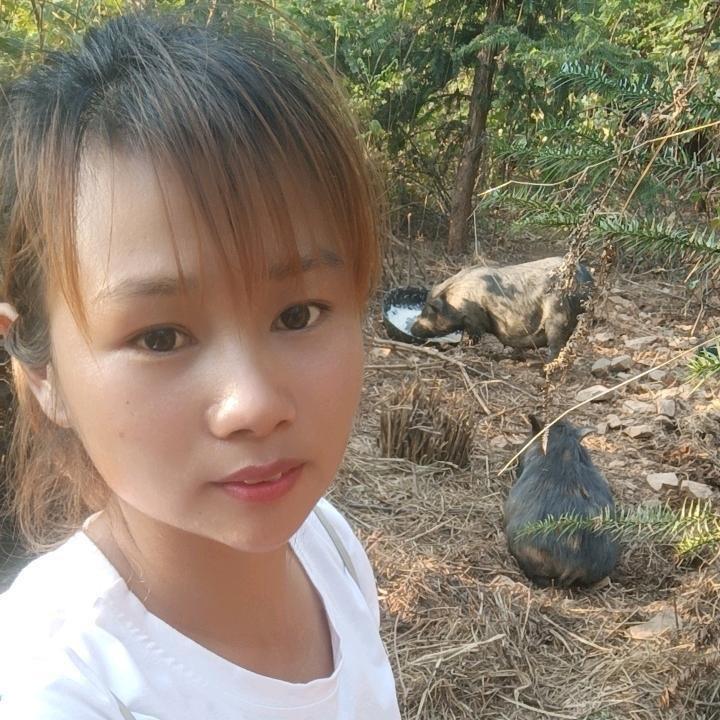 广南香猪妹