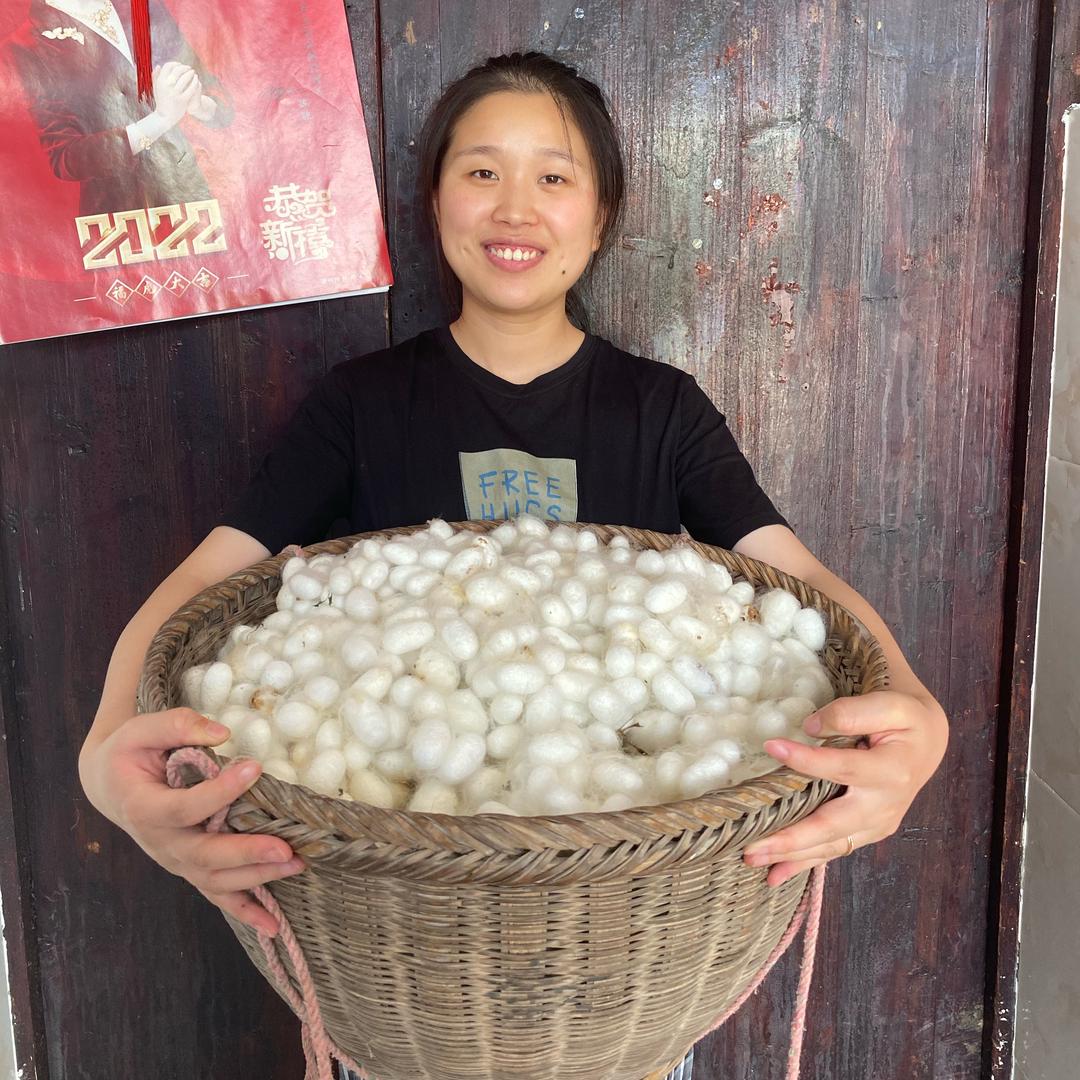 小满讲蚕丝