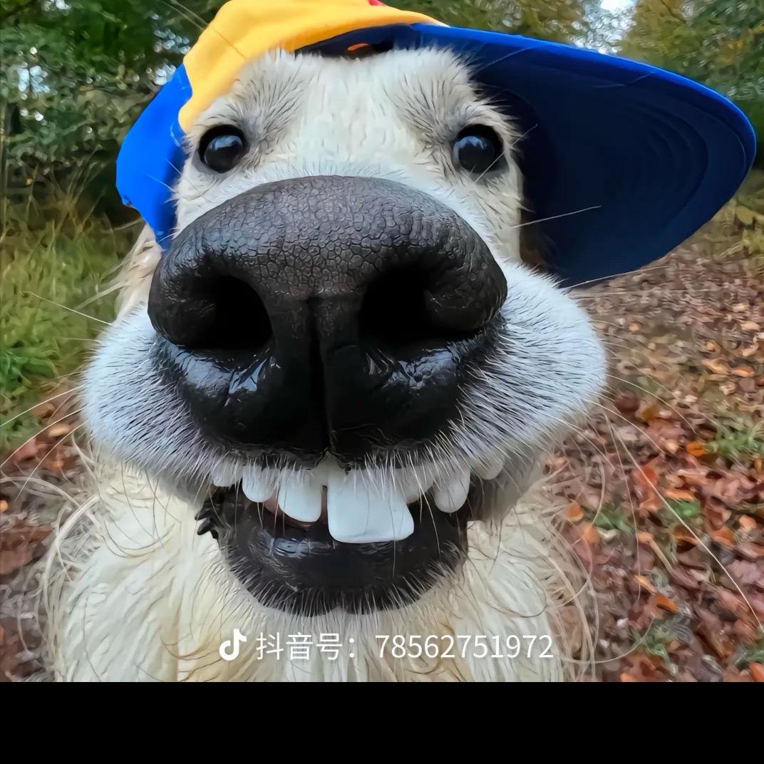 ..