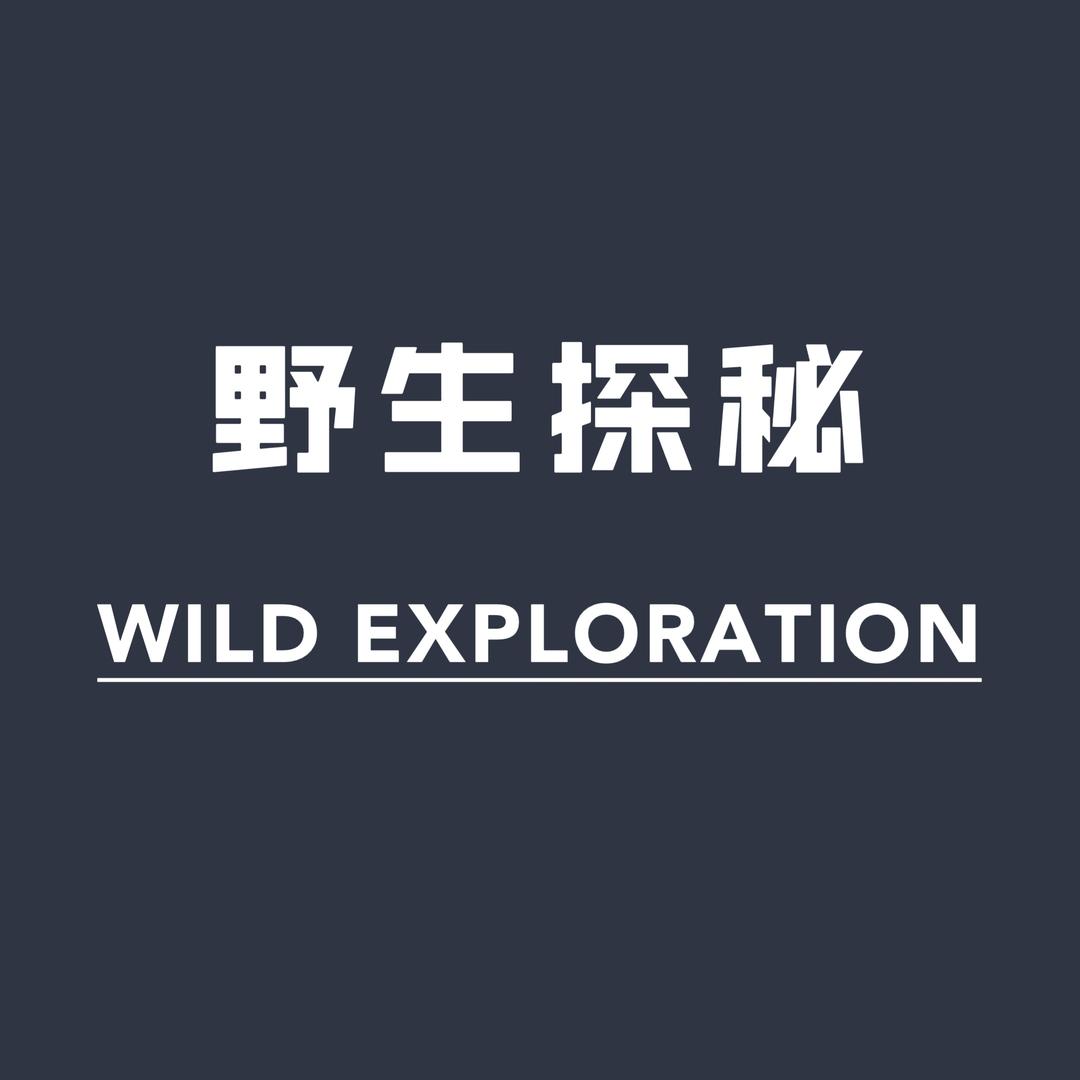 野生探秘