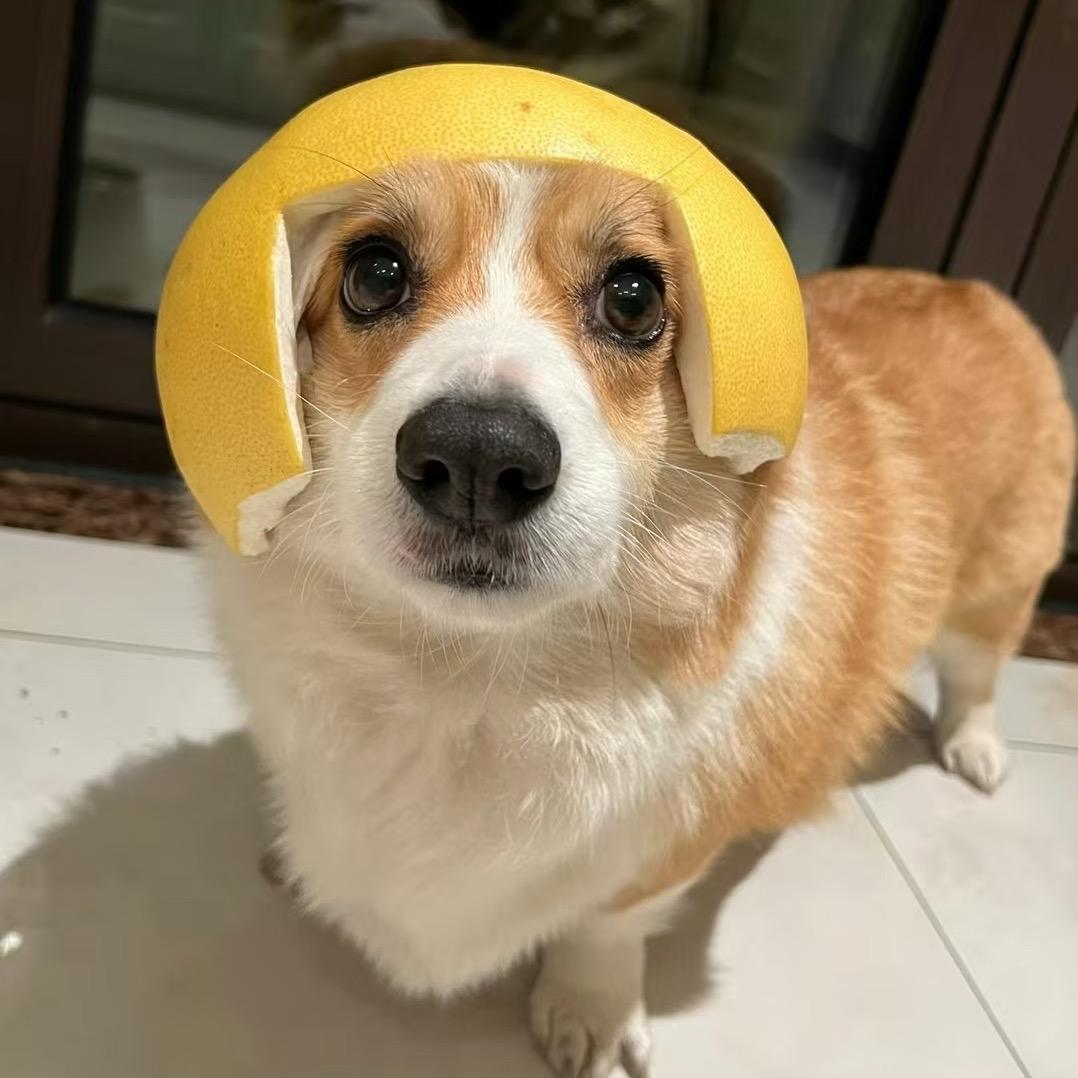 洗嘻袜子🧦
