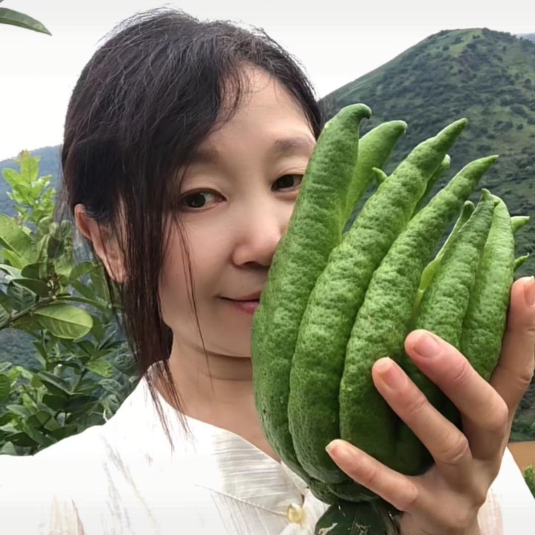 花笺小屋