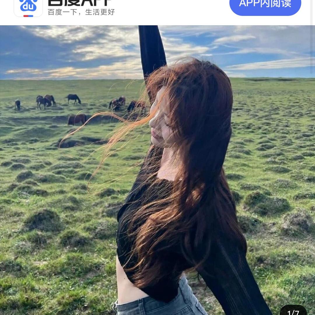 Segal优选好物