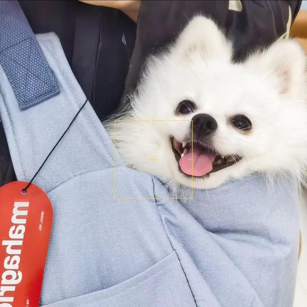 西西