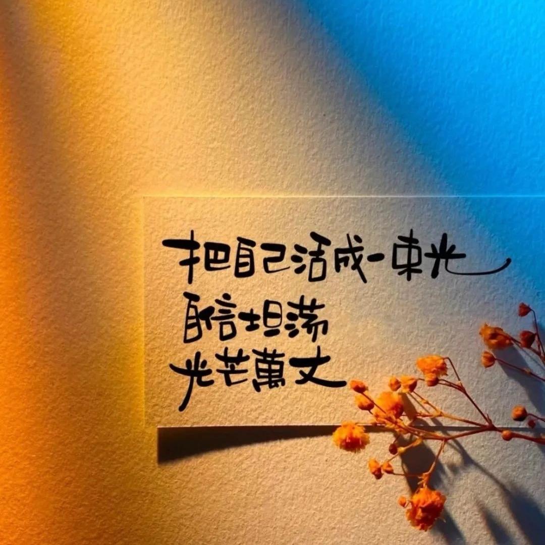 小杨哥的