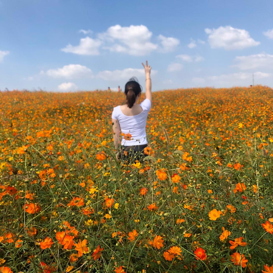 一花一草一世界