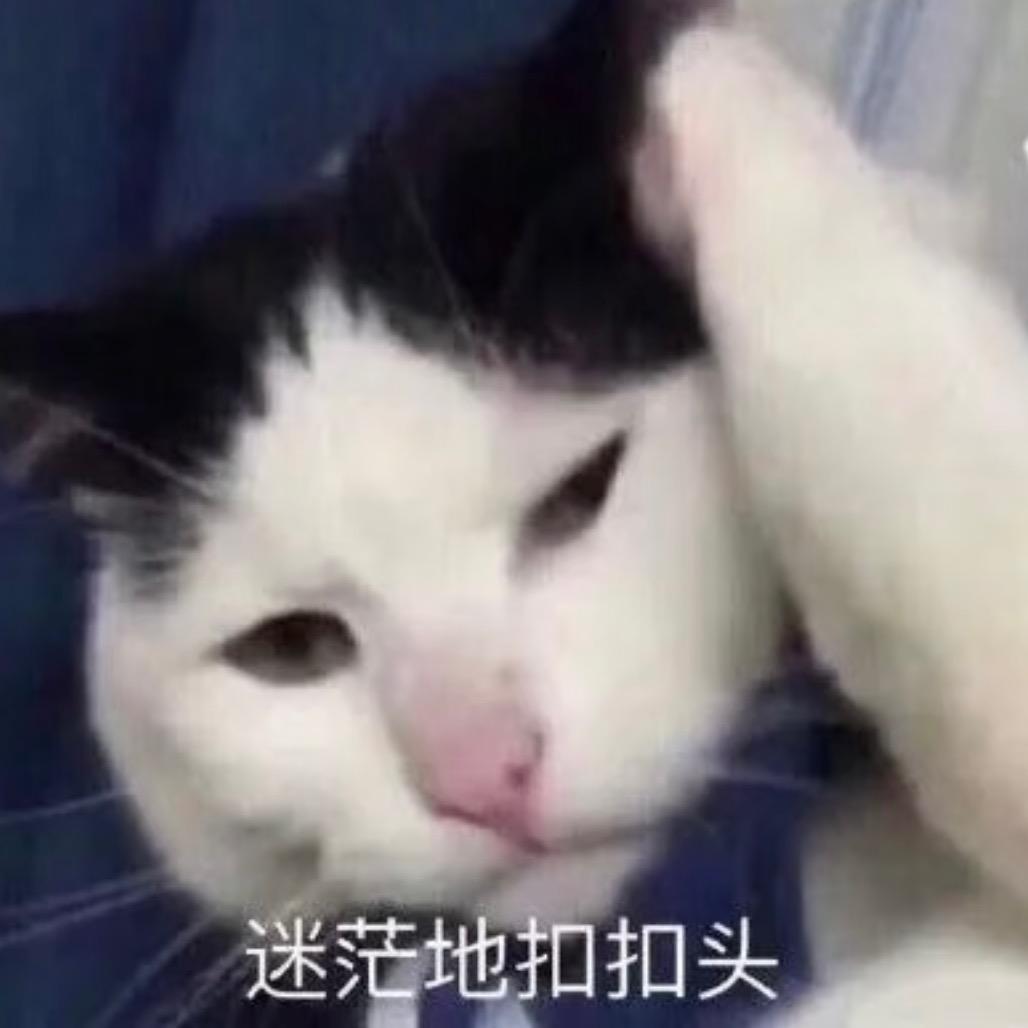 这个崽