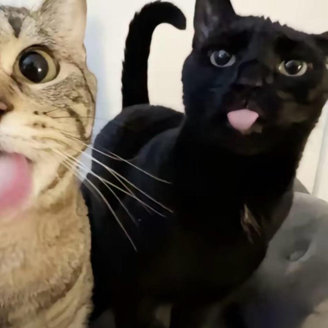 1097