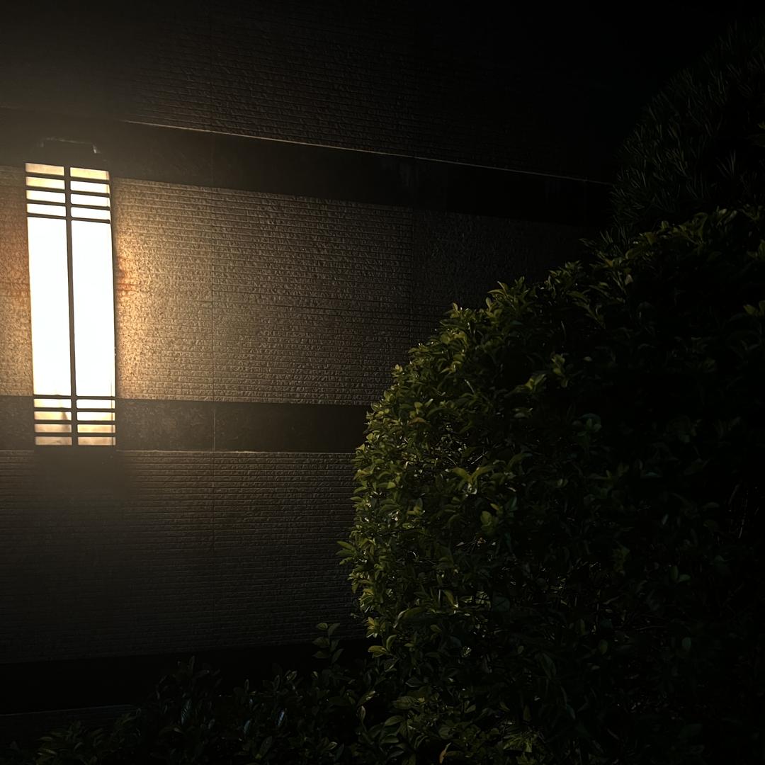 直播企业号【团队招新】