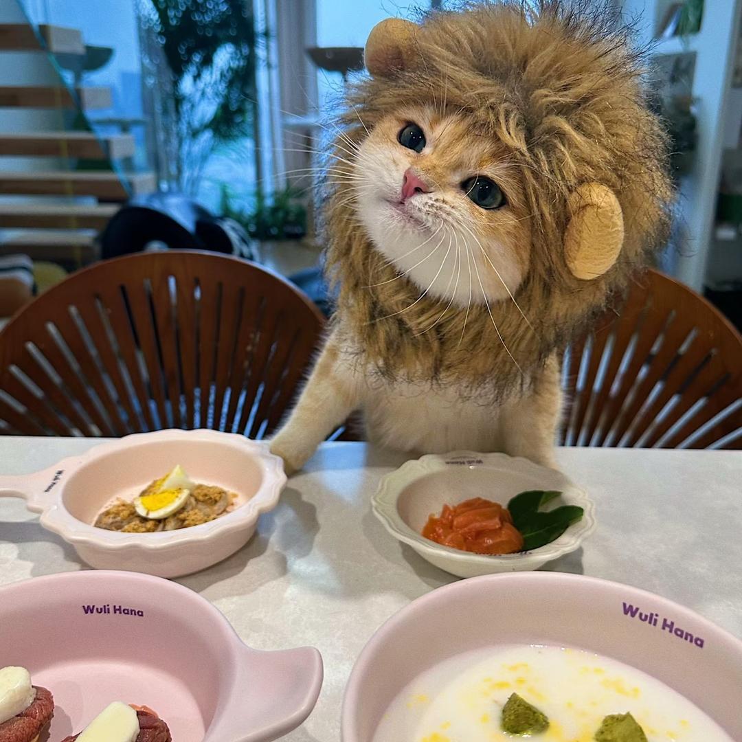 @进哥优选铺