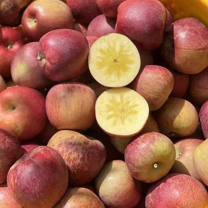 水果地带、代销代购