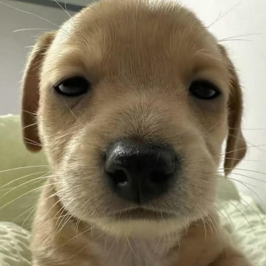 Ms. Kun