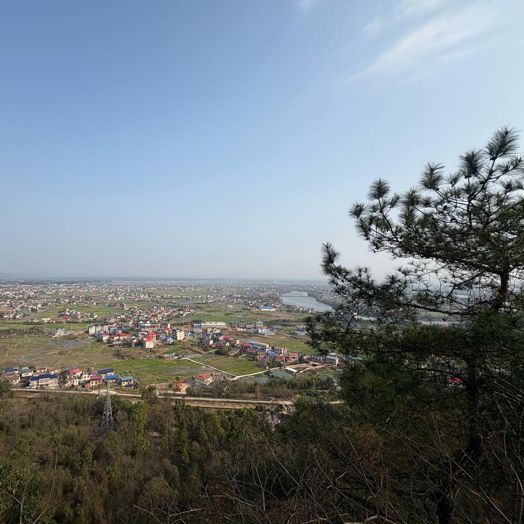 汪汪队