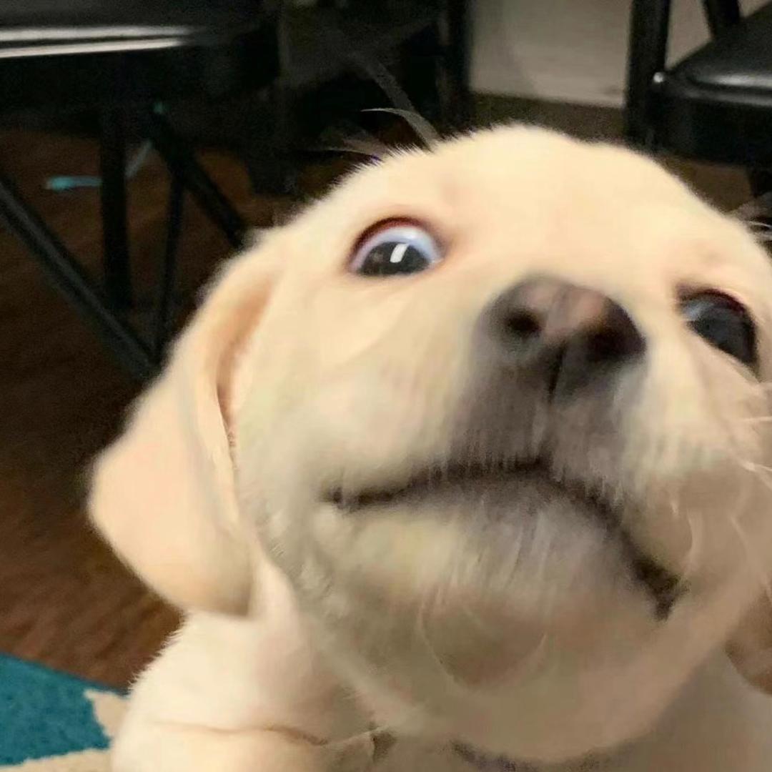 零零祎