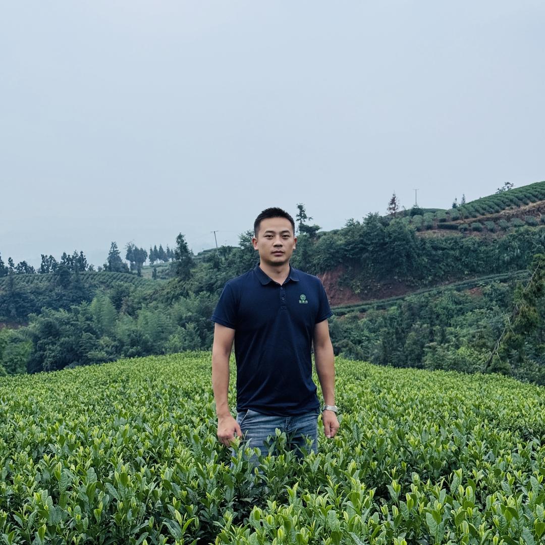 雅安云鼎茶厂-厂家直销