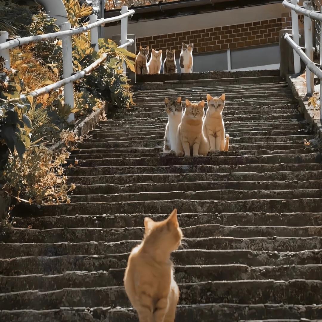 荊荊