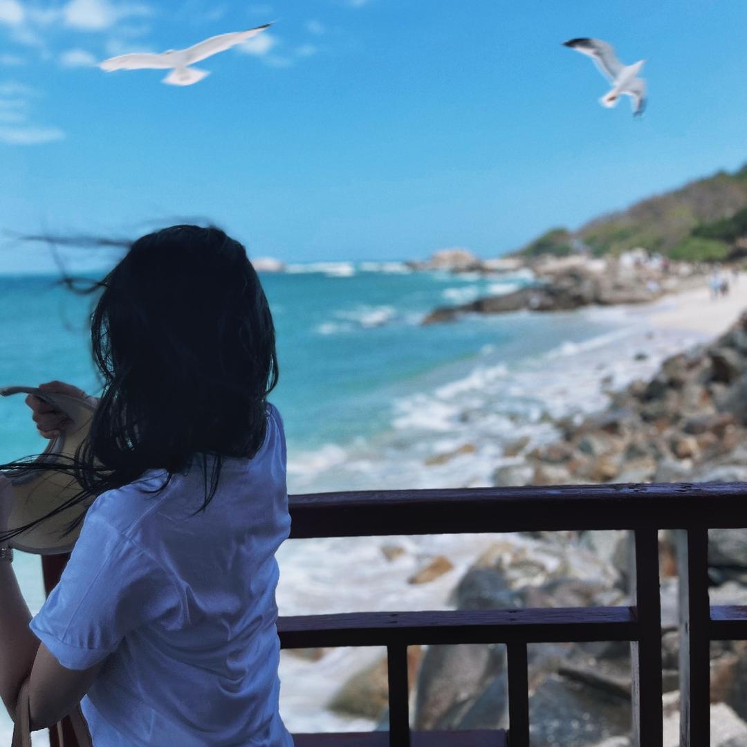 梦乐琴行（天悦府店）