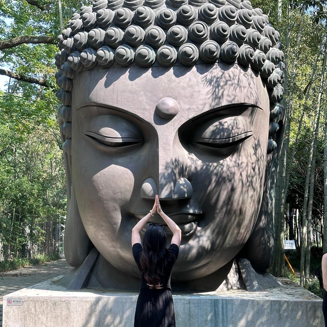 七七呀☁️