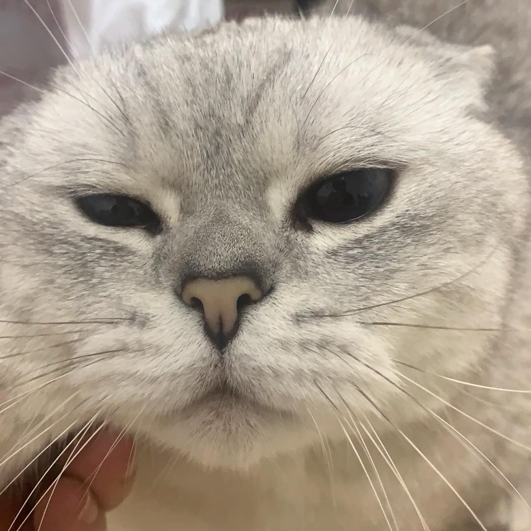 老宇同學
