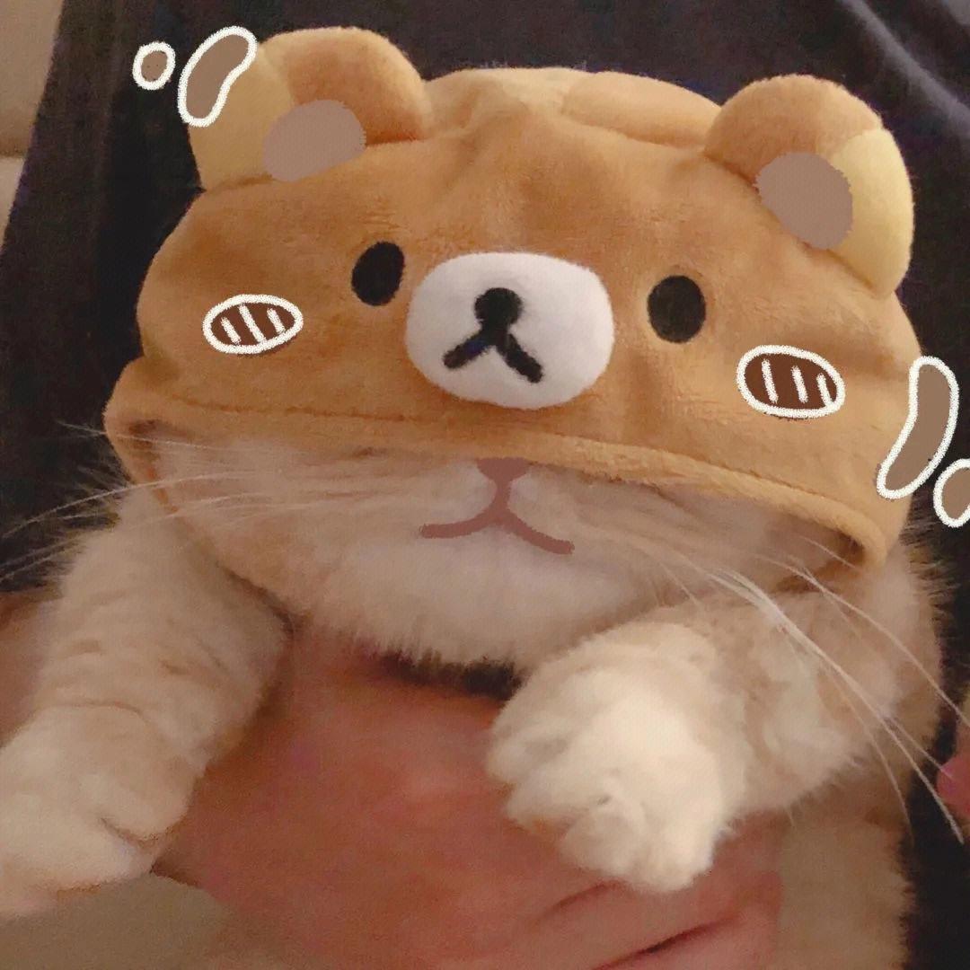 嘻嘻～