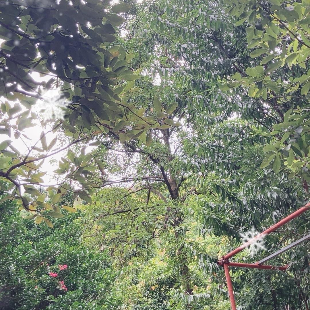 喔蕊姬