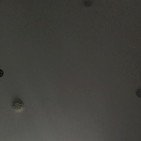 dffffggg