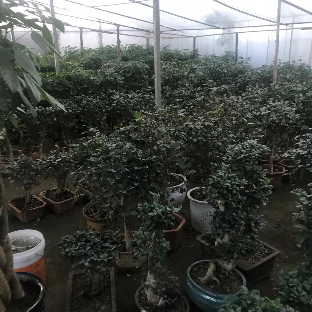 sndj4333