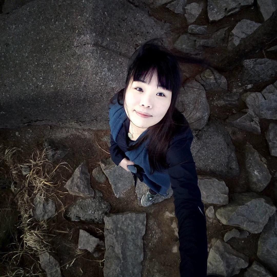 秋画美术