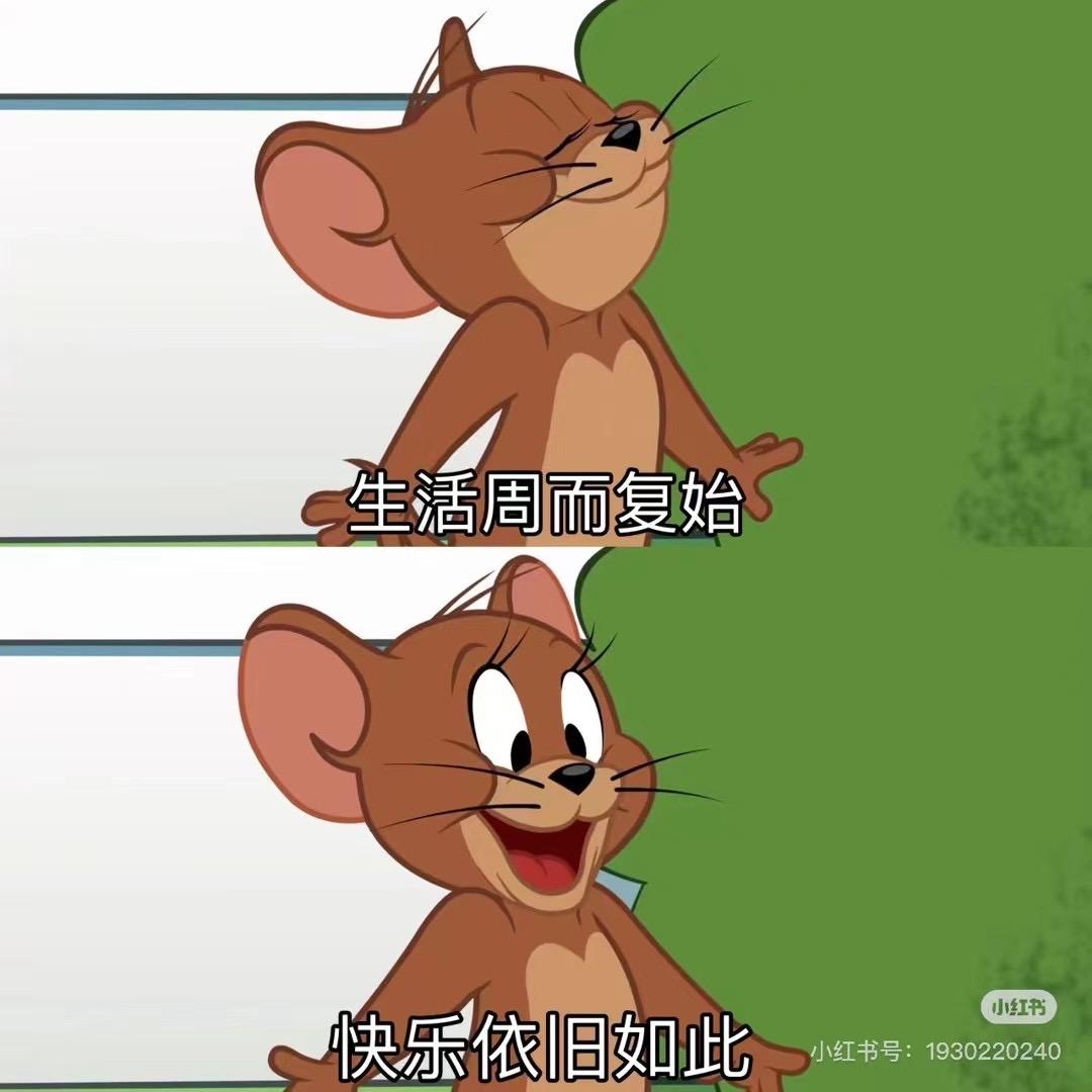 卖房子的小姐姐