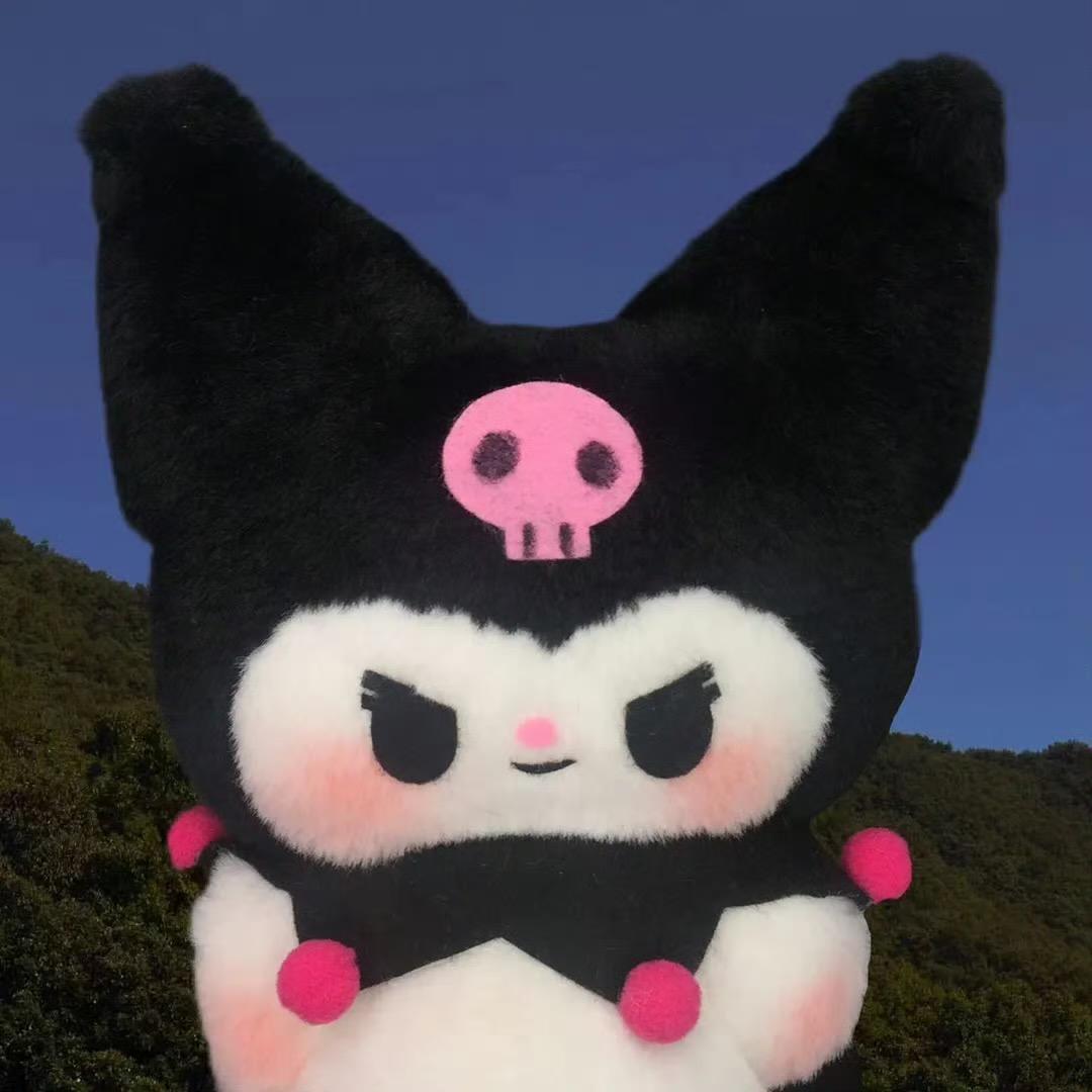 椰椰🥥（飞机大厨版）