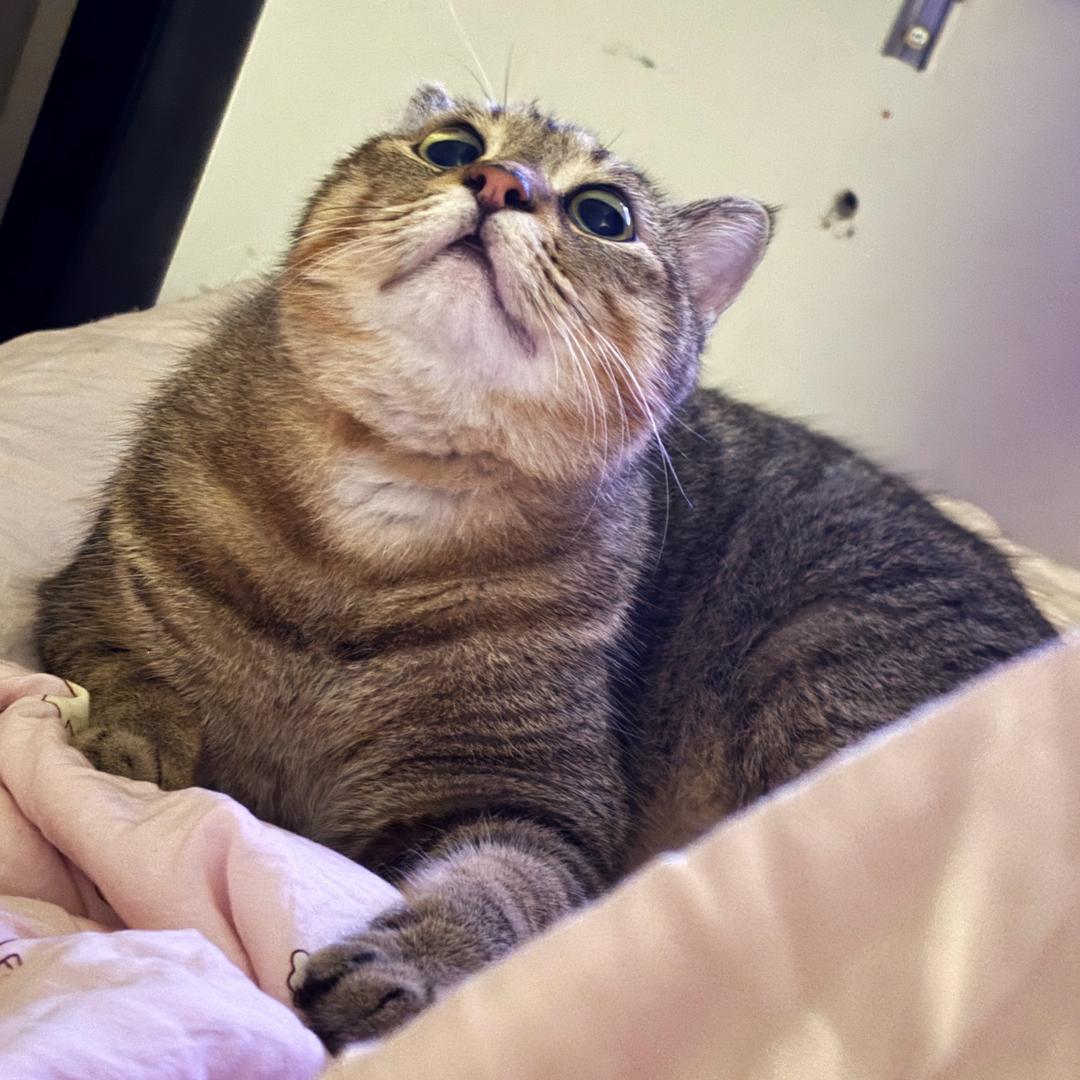 707