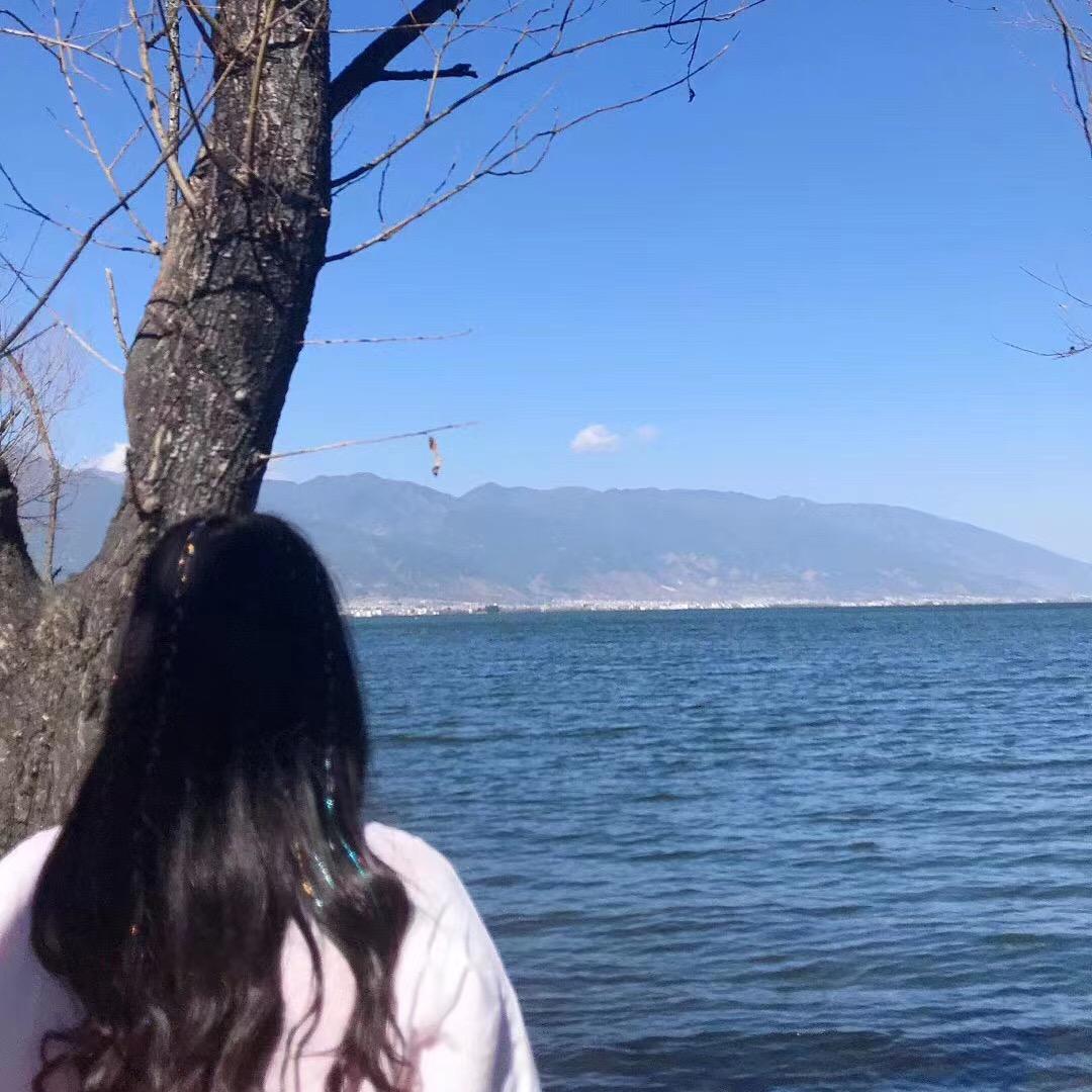 灵茶文案