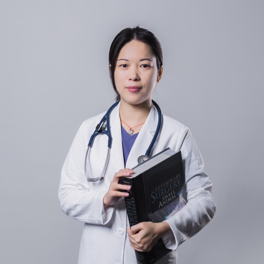 宠物医生叶楠