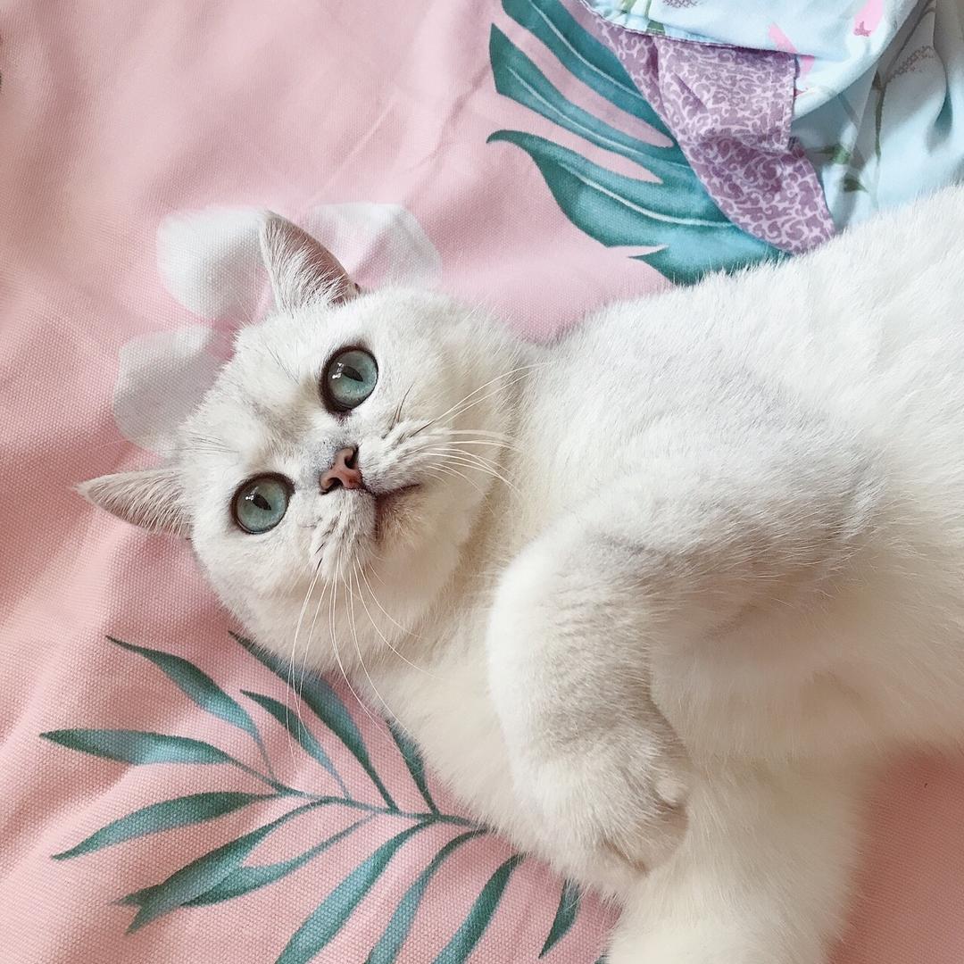 赣州兴国。家政服务。