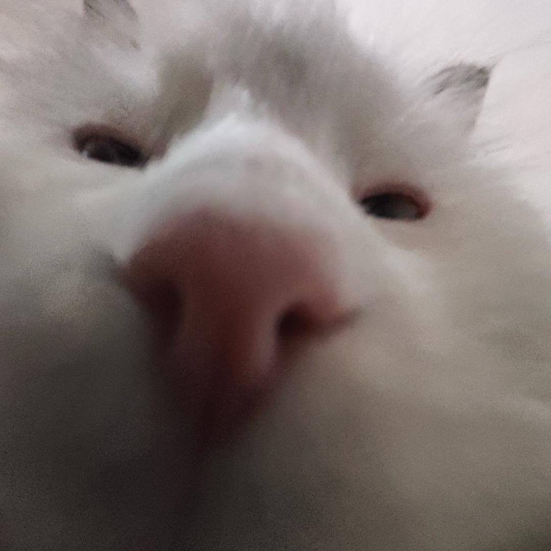 变身章鱼一巴掌打八个人
