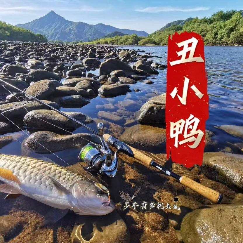 丑小鸭🎣