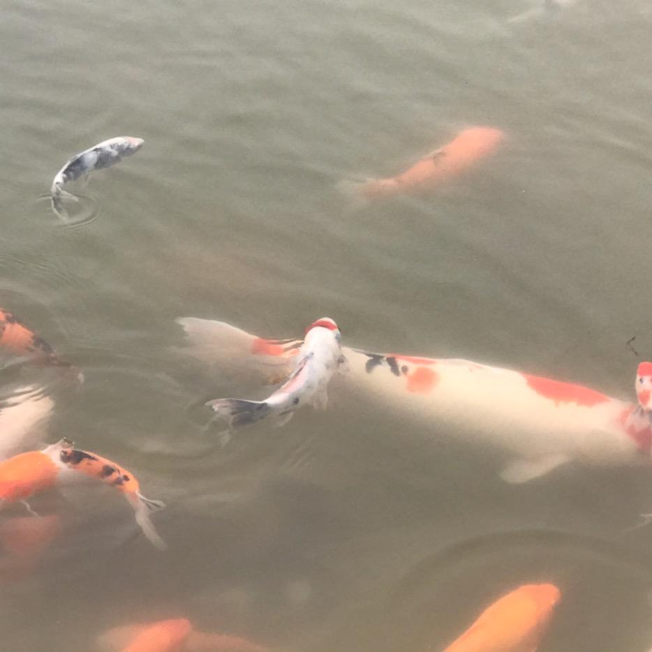 渴望